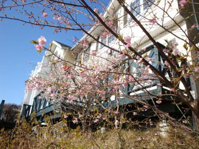 Liberty Hill Hotel Itō Eksteriør billede